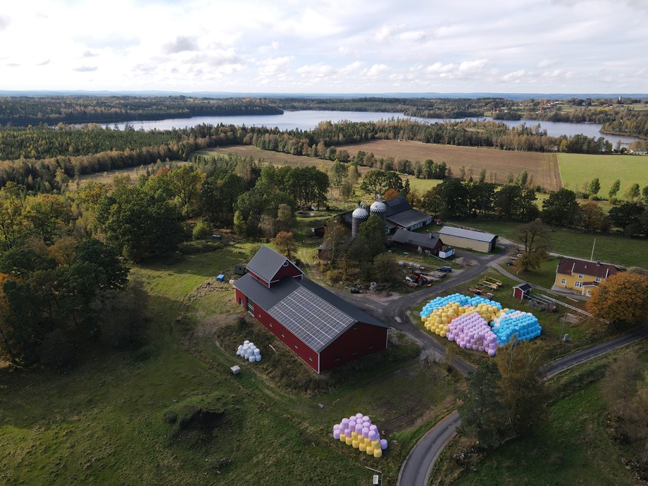 DJI 0436